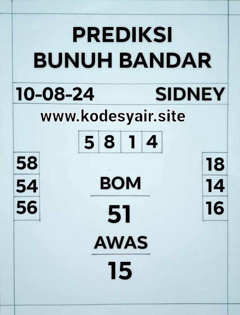 SYAIR SDY VIP